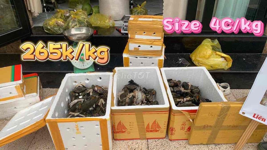 Cua Cà Mau bao an 4 con/kg 265k. Mua bán Đồ ăn, thực phẩm và các loại khác tại Quận Ninh Kiều Cần Thơ được đăng bởi Lâm Đăng Khôi hình 1