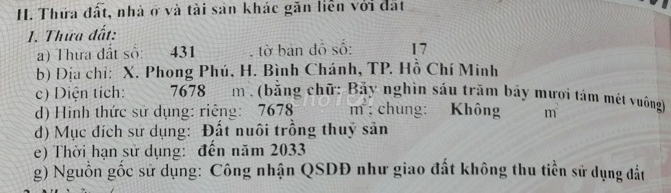 Cho thuê đê bao, nhà ở Xã Bình Hưng, TPHCM