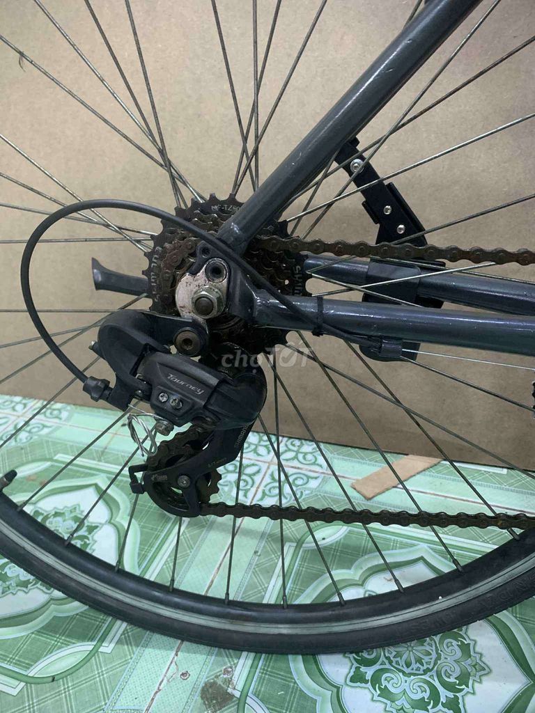 bán lại chiếc Giant nội địa Nhật người nhà kg đi. Mua bán Xe đạp tại Thành phố Vũng Tàu Bà Rịa - Vũng Tàu được đăng bởi quoc Toan hình 5