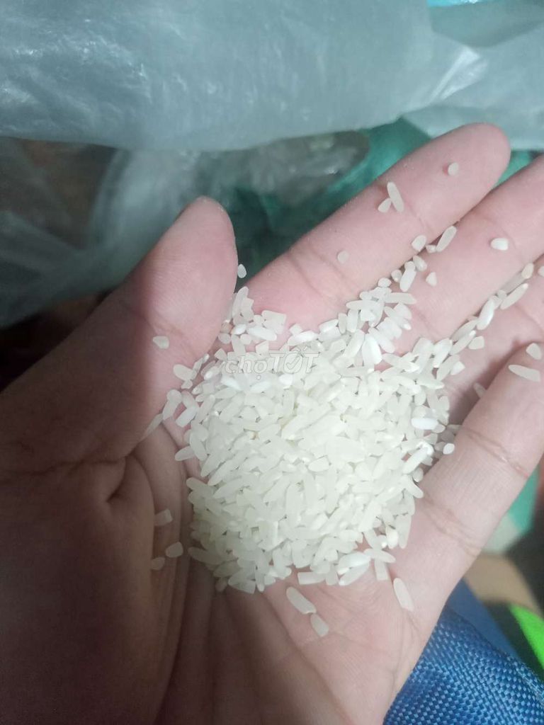 Gạo Quế Sơn 10kg Ngon dẻo thơm. Mua bán Đồ ăn, thực phẩm và các loại khác tại Quận Cẩm Lệ Đà Nẵng được đăng bởi Trinh hình 1