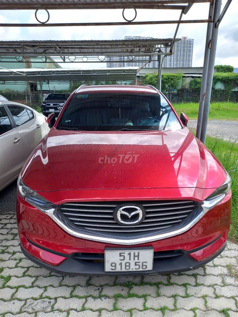Ảnh số 5