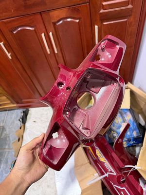 Dàn Áo Xipo 99 zin theo xe