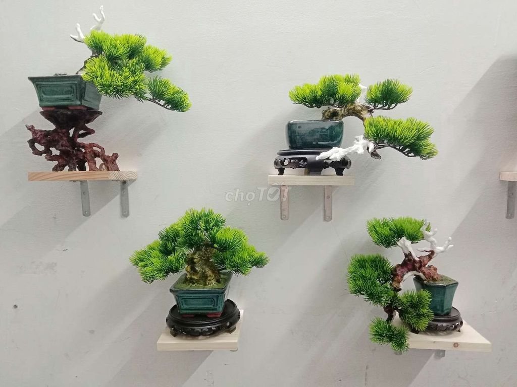 028 Bộ 8 cây bonsai mini decor nghệ thuật