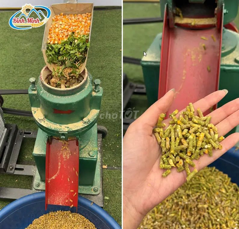 Máy ép cám viên gia đình S150. Mua bán Đồ chuyên dụng, Giống nuôi trồng tại Quận Cái Răng Cần Thơ được đăng bởi Kho Bình Minh hình 4