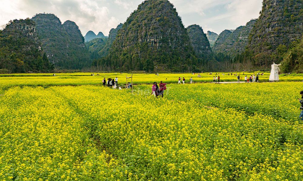 Tour Trung Quốc 5N4Đ: Quý Dương, Hưng Nghĩa. Du lịch tại Quận 11 Tp Hồ Chí Minh được đăng bởi Thùy Trinh hình 3