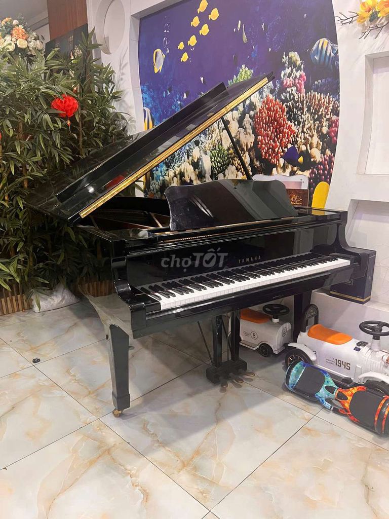 Đàn Piano Yamaha C7 Đen. Mua bán Nhạc cụ tại Huyện Hóc Môn Tp Hồ Chí Minh được đăng bởi nguyen tan hieu hình 1