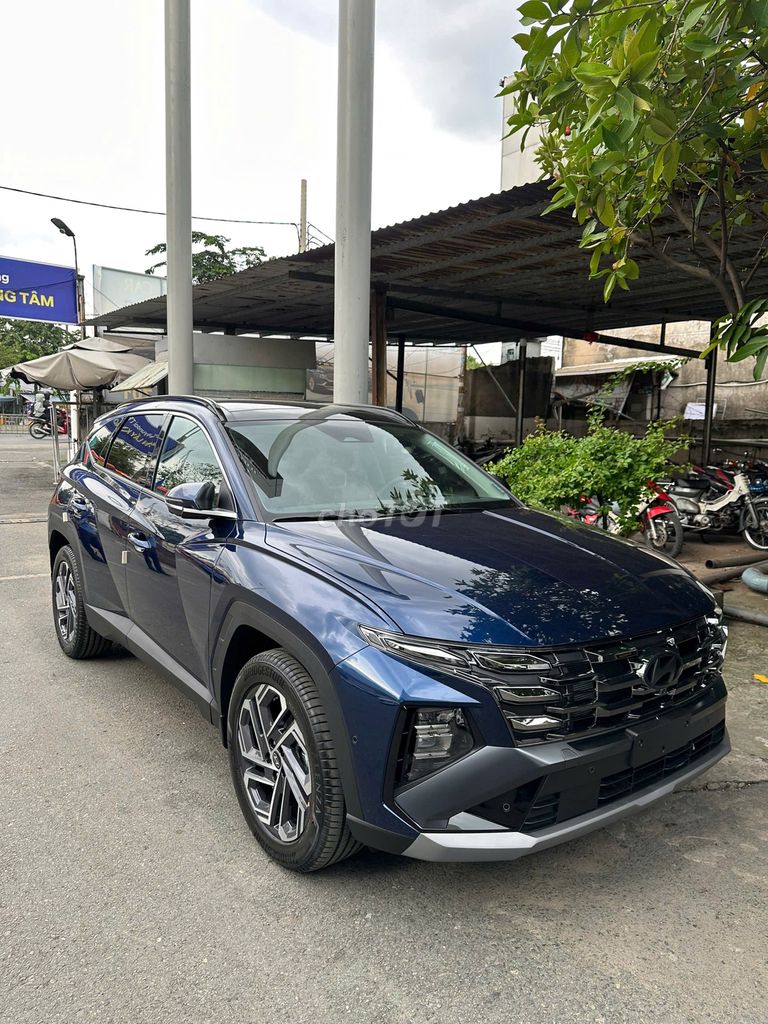 Ảnh số 5