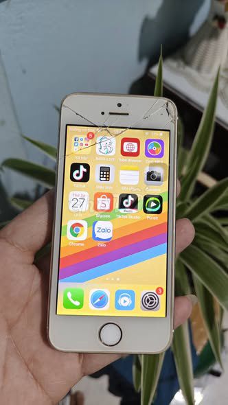Apple iPhone 5s 16GB Vàng Đã dùng. Mua bán Điện thoại tại Huyện Phú Quí Bình Thuận được đăng bởi Hội Đồ Điện Tử hình 1