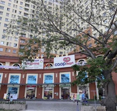Bán Chung Cư Tô Ký Q.12. Mua bán căn hộ/chung cư tại Quận 12 Tp Hồ Chí Minh được đăng bởi Huytran