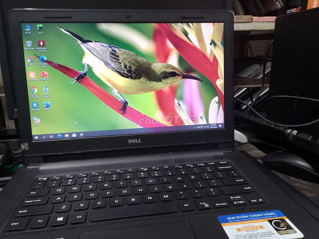 👉🔥💔Laptop Dell i3 th6,ram D4 8gb/buz 2400,ssd 128g. Mua bán Laptop tại Quận Sơn Trà Đà Nẵng được đăng bởi vo ngoc tuan hình 1