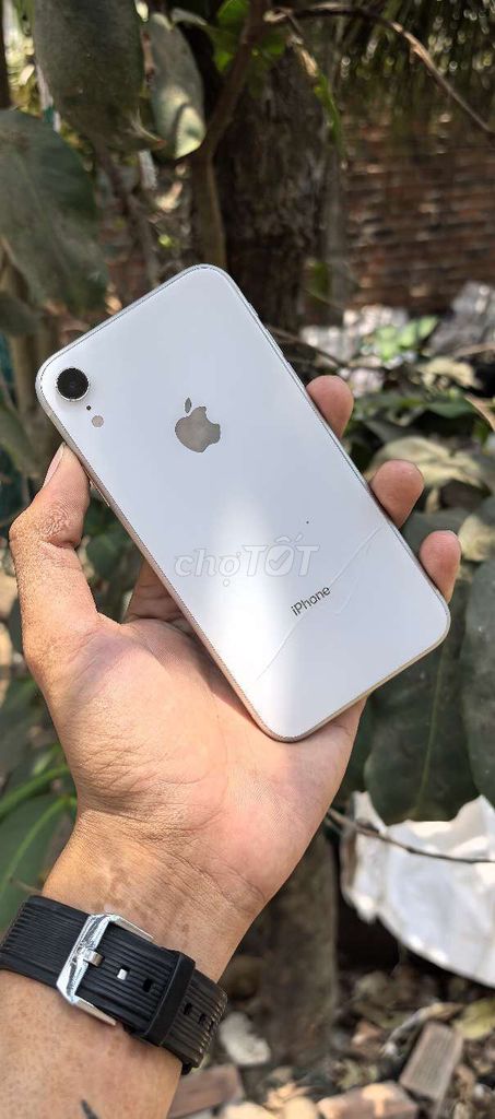 Apple iPhone XR 256GB full cn. Mua bán Điện thoại tại Huyện Châu Thành Bến Tre được đăng bởi TN MOBILE hình 1