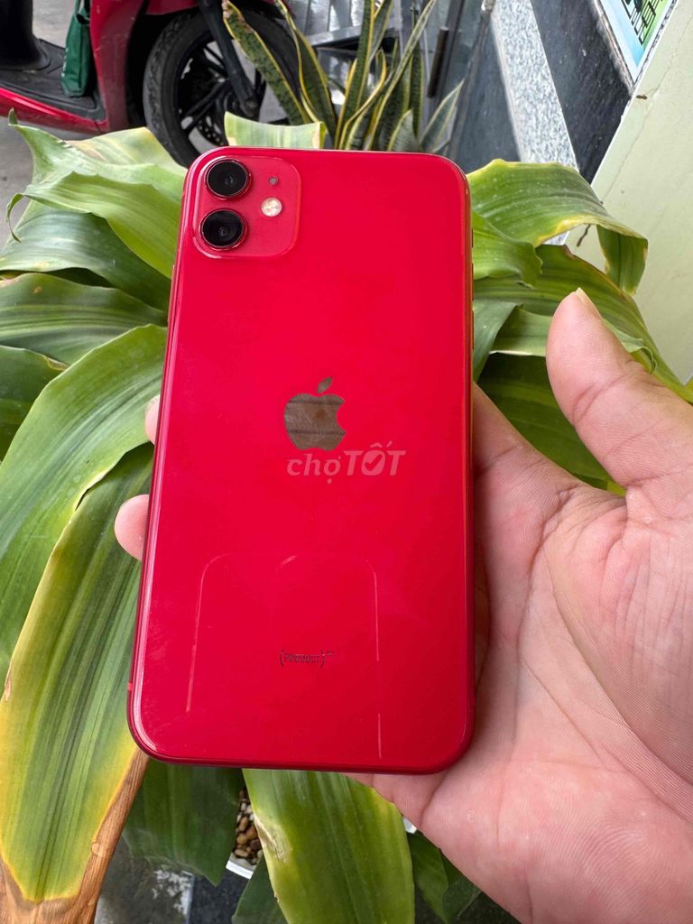 Apple iPhone 11 64GB Đỏ 98% (màn trầy). Mua bán Điện thoại tại Quận Ninh Kiều Cần Thơ được đăng bởi Khải mobile hình 1