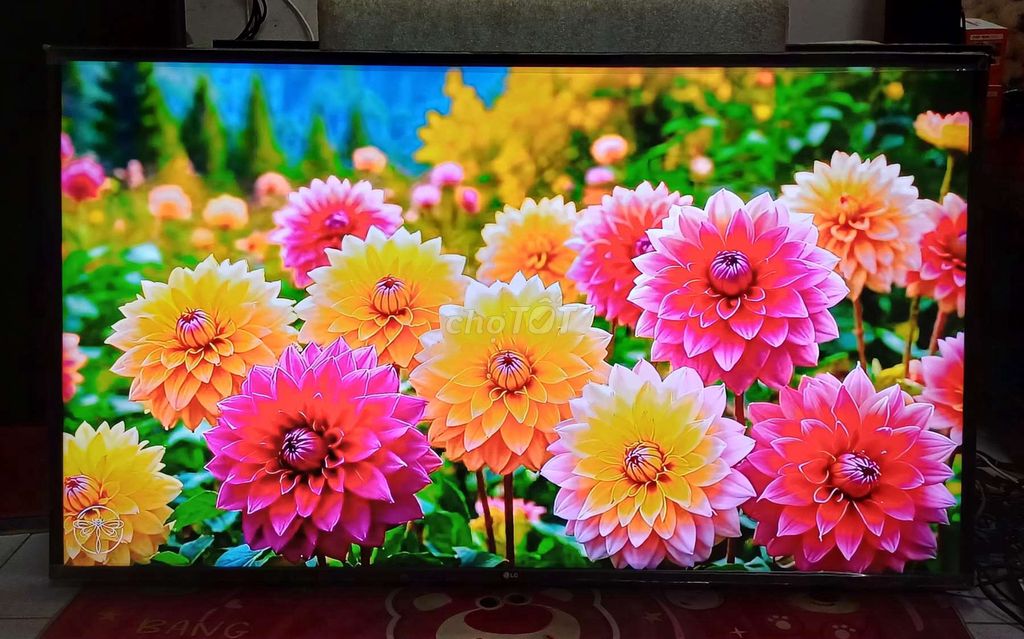 Smart tivi 4k 55 inch LG sáng đẹp remote giọng nói