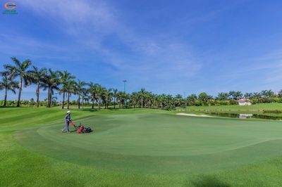 [Sân Golf] - Nữ lái máy - Thu nhập 11tr (Ko yc KN)