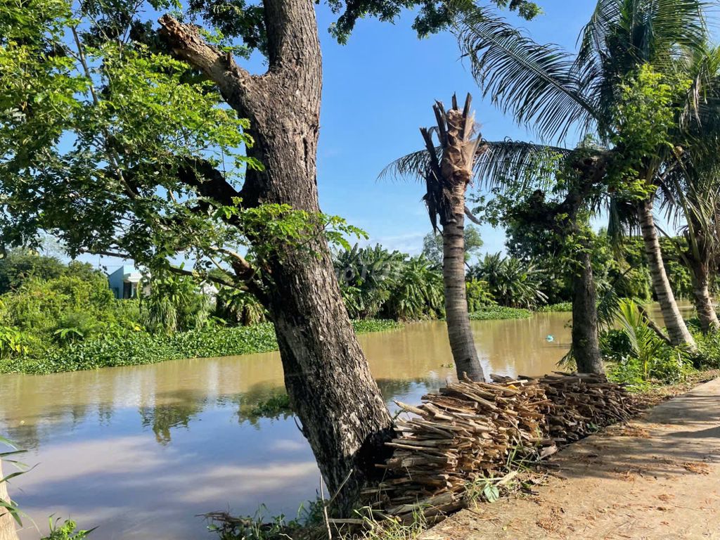 Đất mặt tiền nhựa kênh 14, P. Long Hòa, TP Gò Công, Tiền Giang