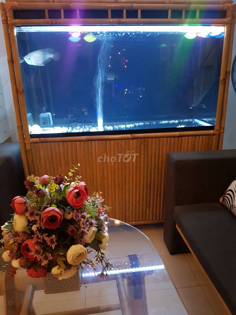 Bể cá cảnh 1m2x60cmx80cm khung Tre. Mua bán Phụ kiện, Thức ăn, Dịch vụ tại Thị xã Hương Trà Thừa Thiên Huế được đăng bởi Bá vinh hình 1