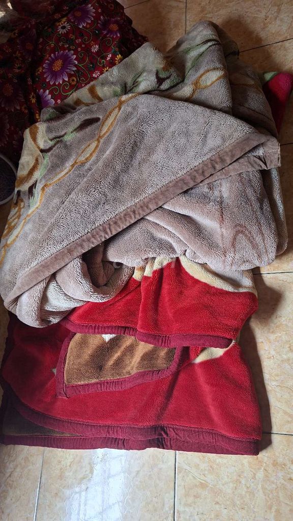 Chăn bông Bông Đỏ, Nâu Còn mới. Mua bán Giường, chăn ga gối nệm tại Quận Ngô Quyền Hải Phòng được đăng bởi Hoàng hình 1