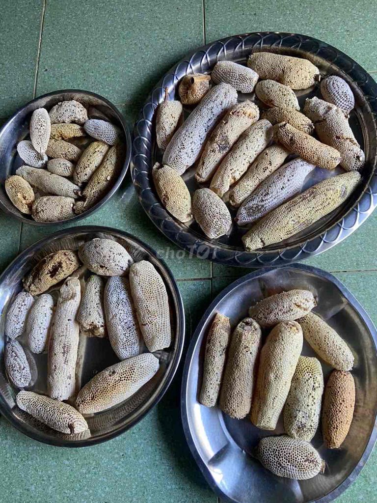 Mật ong rừng nguyên tổ 1 lít. Mua bán Đồ ăn, thực phẩm và các loại khác tại Thành phố Thủ Đức Tp Hồ Chí Minh được đăng bởi Trí  Trường  hình 1