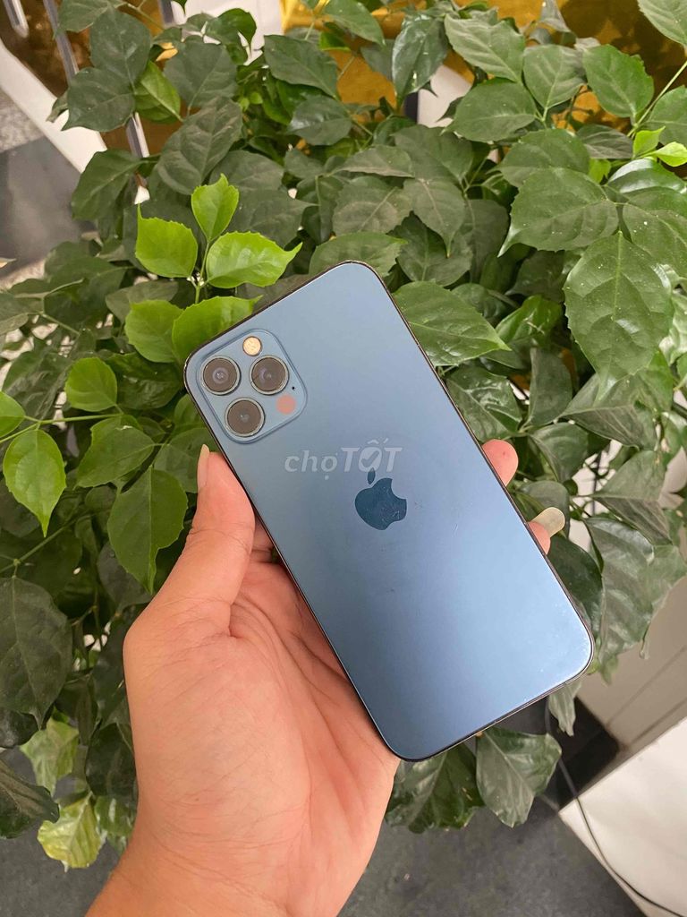iPhone 12 Pro-128GB LLA. Mua bán Điện thoại tại Quận Ninh Kiều Cần Thơ được đăng bởi  VŨ APPLE cần thơ hình 1