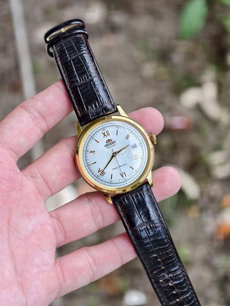 Đồng hồ Orient Bambino Gen 2 Nam. Mua bán Đồng hồ tại Quận Cái Răng Cần Thơ được đăng bởi NQ Chien hình 1
