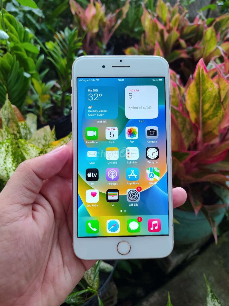 iPhone 8 Plus 64GB Vàng hồng. Mua bán Điện thoại tại Quận Bình Thuỷ Cần Thơ được đăng bởi Beo Beo hình 1