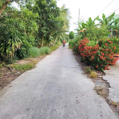 228m2 ĐẤT THỔ CƯ NGAY BẾN XE RẠCH SỎI KIÊN GIANG GIÁ CHỈ 799TR QUÁ RẺ. Mua bán đất tại Huyện Châu Thành Kiên Giang được đăng bởi Khanh BĐS Tây Đô