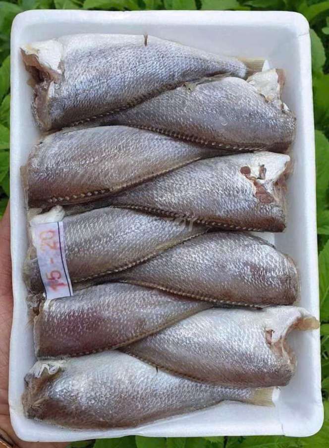 Cá đù 1 nắng.  1kg 15 _ 20 con . chuyên sỉ