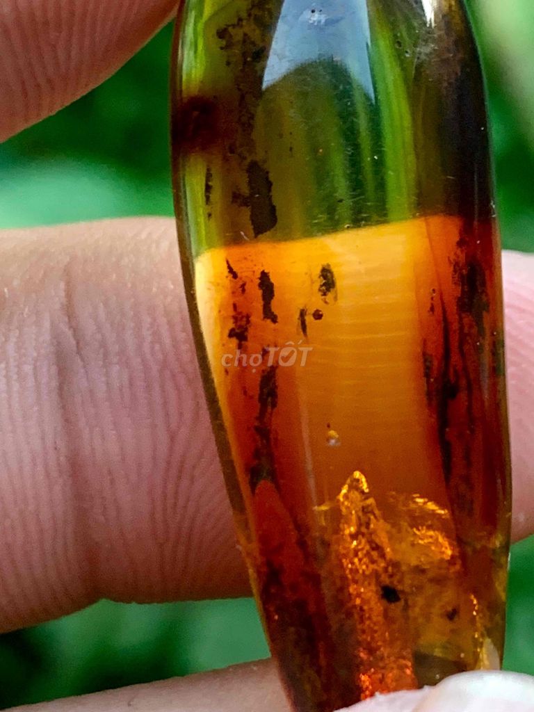 ✨mặt hổ phách amber Baltic ngậm côn trùng🪰