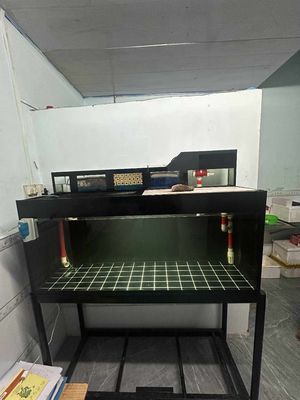 Cần bán giàn hồ cá và vài bé chép phi tầng sư tử. Mua bán Phụ kiện, Thức ăn, Dịch vụ tại Quận Cái Răng Cần Thơ được đăng bởi Trần Huỳnh Phong