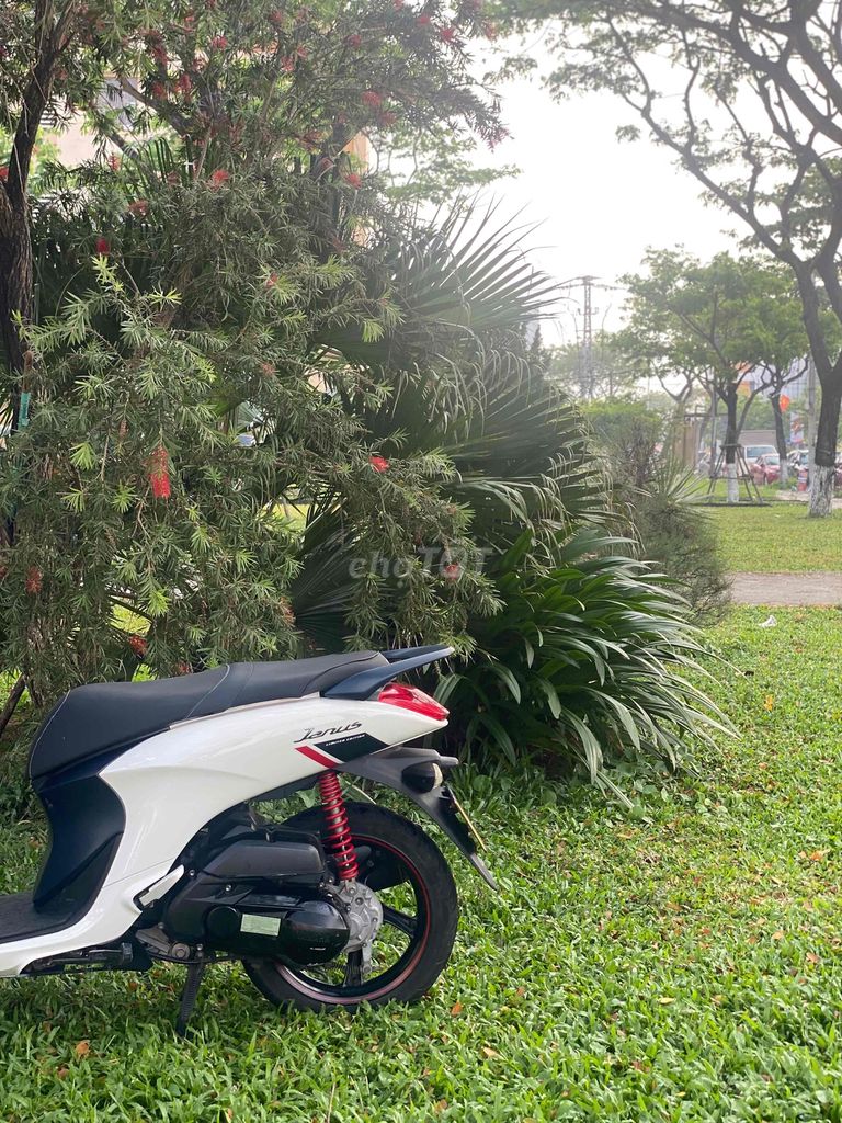Yamaha Janus Trắng, Xám Khóa Smartkey