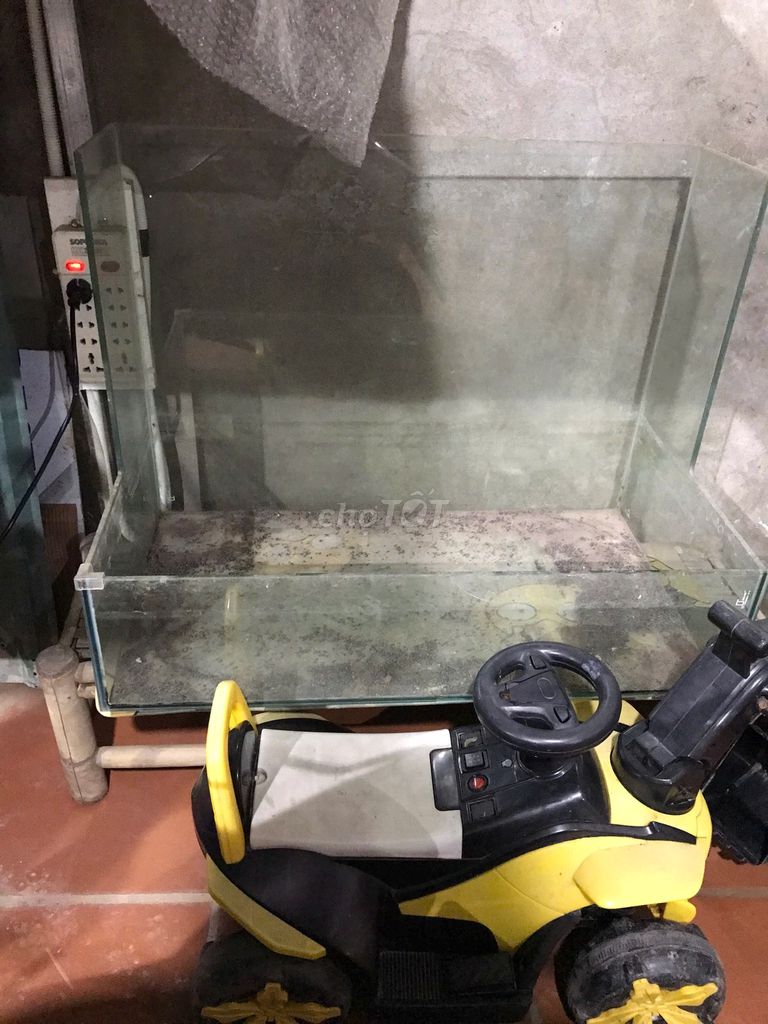 Bể bán cạn Kính cường lực 80x40cmx20cm . Mua bán Phụ kiện, Thức ăn, Dịch vụ tại Quận Long Biên Hà Nội được đăng bởi iFixCenter Chuyên WIFI Camera Switch Mạng hình 1
