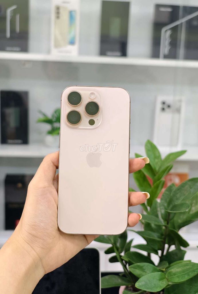  iPhone 16 Pro 256GB Gold 99%. Mua bán Điện thoại tại Quận 10 Tp Hồ Chí Minh được đăng bởi Minh Hy Store hình 1