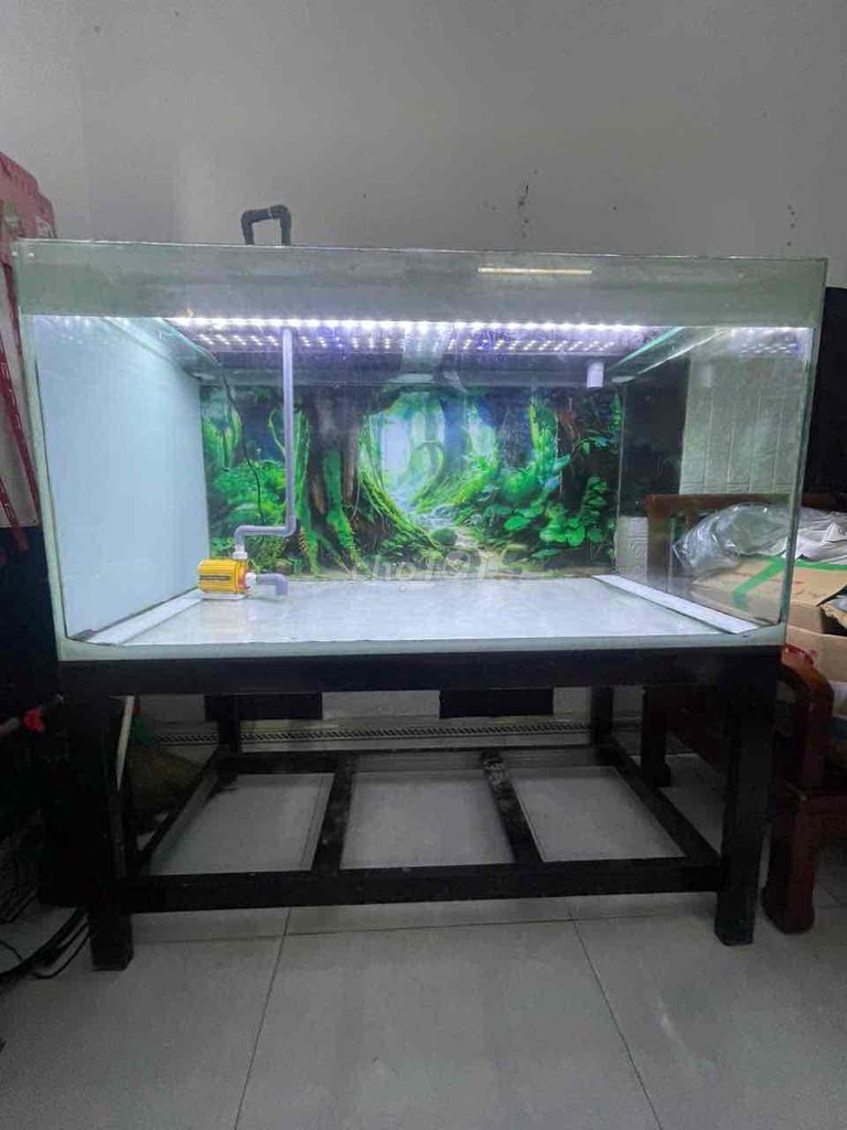 Bể cá cảnh Kính Sắt 1m2x65x65cm. Mua bán Phụ kiện, Thức ăn, Dịch vụ tại Huyện Hòa Vang Đà Nẵng được đăng bởi nguyễn đức khôi hình 1