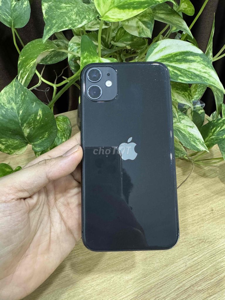 iPhone 11 64GB QT Chính hãng VN/A CÓ COD - GÓP. Mua bán Điện thoại tại Quận Hoàng Mai Hà Nội được đăng bởi Gia Vinh hình 1