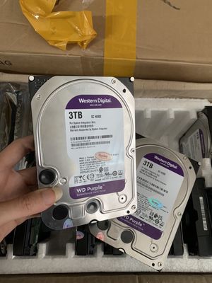 Ổ cứng pc 3tb wd tím sk 100%