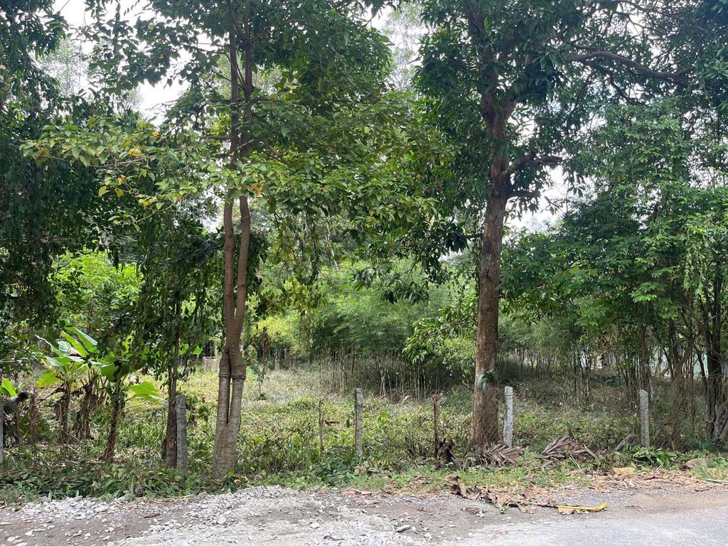 thích hợp đầu tư, kho bãi, cây xăng.. Mua bán Đất tại Huyện Tri Tôn An Giang được đăng bởi Lê Nga hình 5