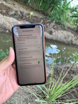 Iphone XR. Mua bán Điện thoại tại Quận Bình Thuỷ Cần Thơ được đăng bởi Duy Khang