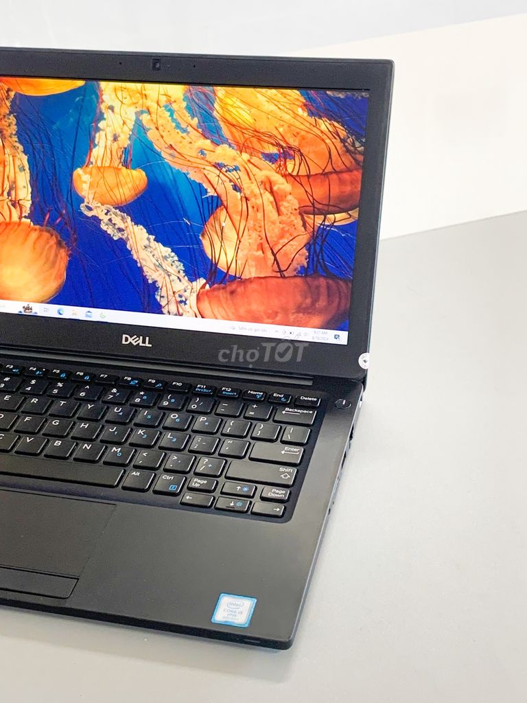 Dell Latitude 7290 - Mỏng nhẹ, văn phòng mượt mà