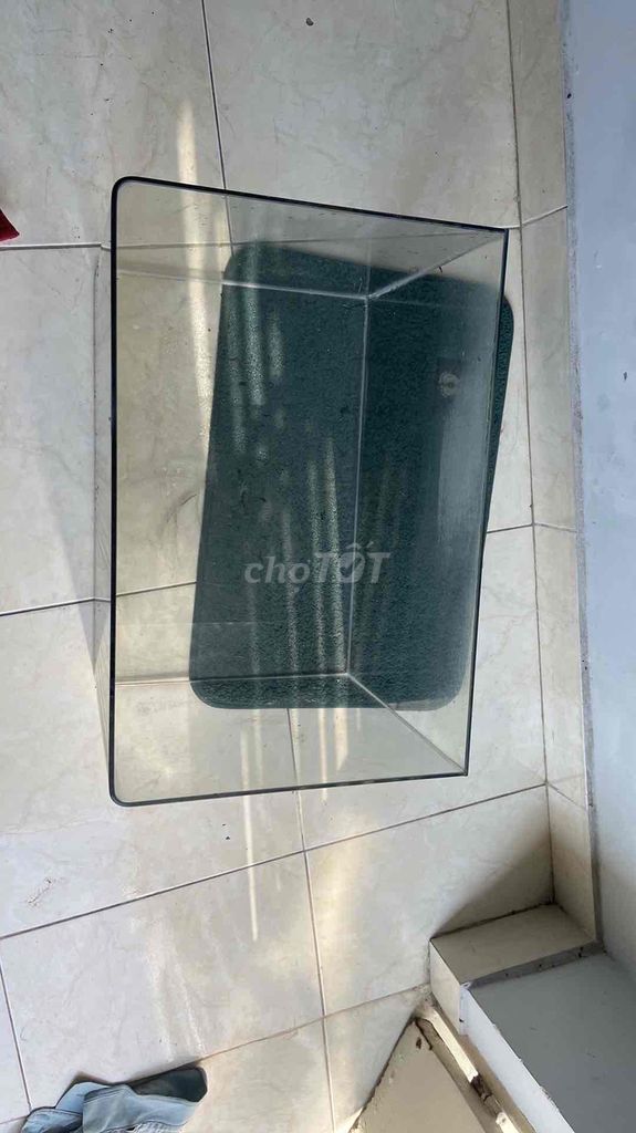 hồ cá bo góc