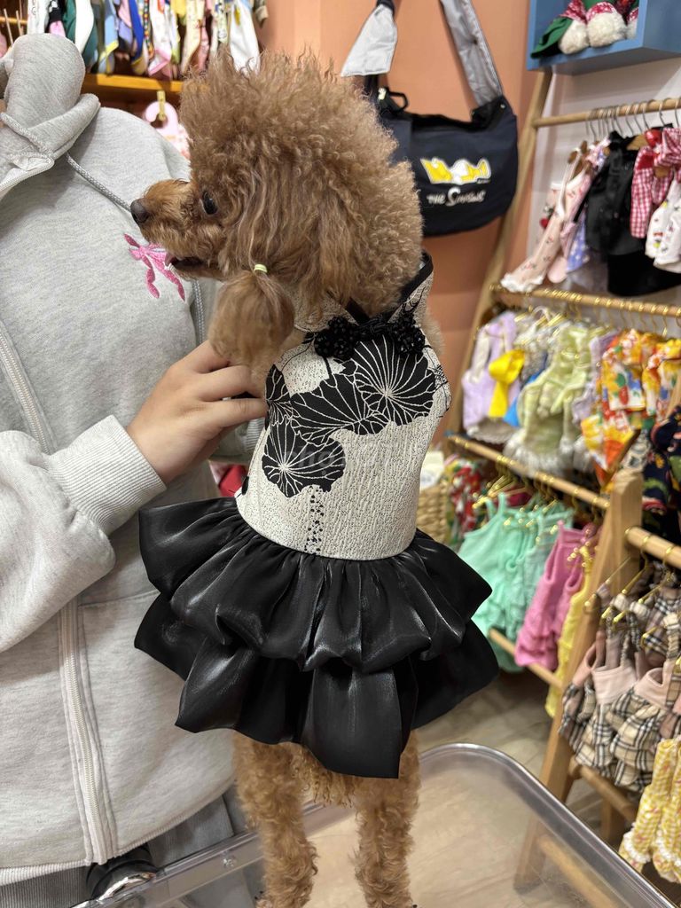 Váy cho thú cưng Hoa sen Đen trắng. Mua bán Phụ kiện, Thức ăn, Dịch vụ tại Quận Phú Nhuận Tp Hồ Chí Minh được đăng bởi JENNY hình 1