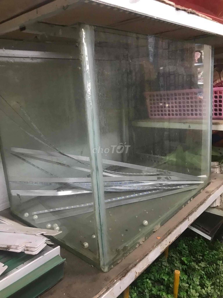Hồ cá cảnh Kính 10 ly 50x40x35cm. Mua bán Phụ kiện, Thức ăn, Dịch vụ tại Huyện Tân Phước Tiền Giang được đăng bởi Đồ Nhà Không Dùng hình 1