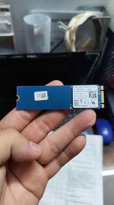 Ssd M2 Sata 256gb WD SN520 Sức khoẻ 95% good. Mua bán Linh kiện (RAM, Card...) tại Quận 5 Tp Hồ Chí Minh được đăng bởi Hòa