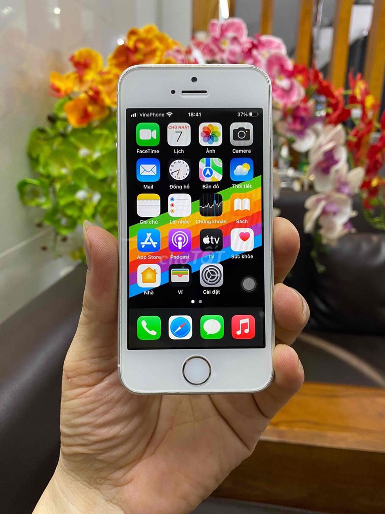 iPhone 5SE Bạc, còn vân, full chức năng. Mua bán Điện thoại tại Quận Tân Bình Tp Hồ Chí Minh được đăng bởi ANH ĐỨC Store hình 1
