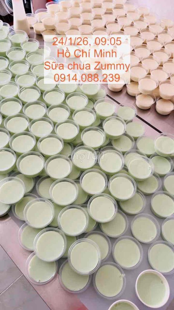 sỉ lẻ yaourt sữa chua pannacotta tàu hũ sing. Mua bán Đồ ăn, thực phẩm và các loại khác tại Thành phố Thủ Đức Tp Hồ Chí Minh được đăng bởi Đinh Bích hình 1