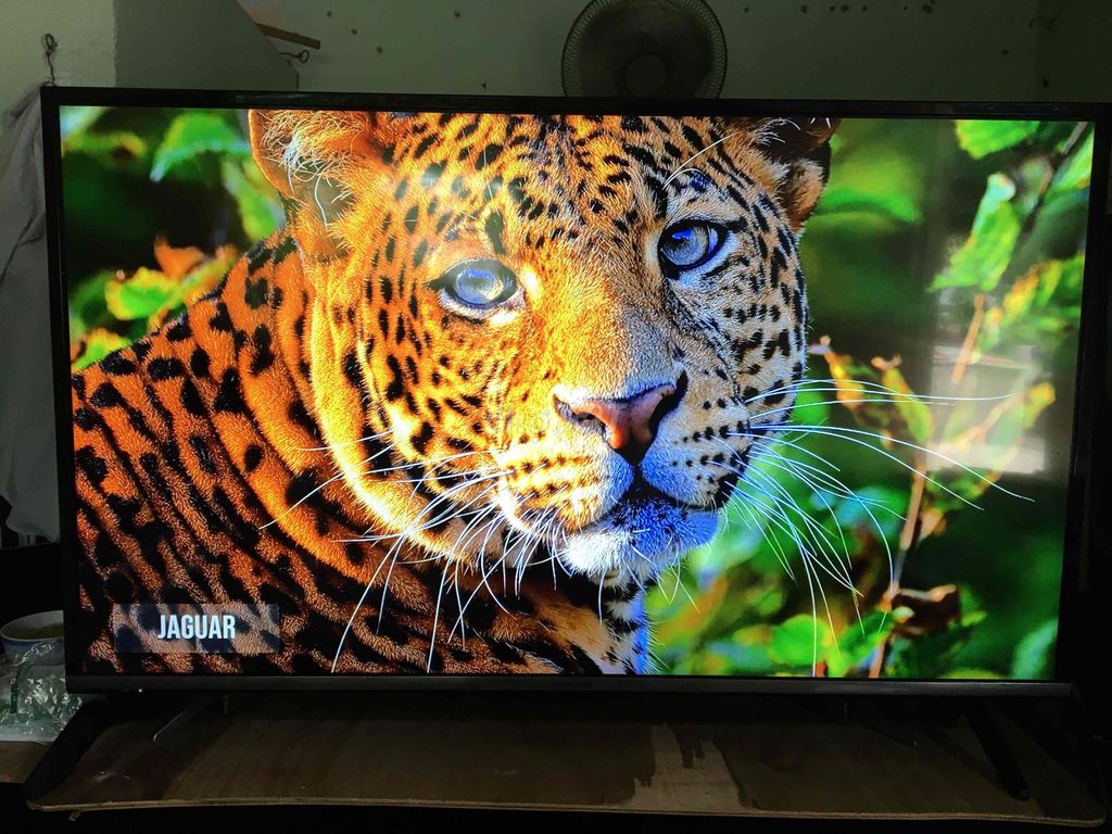 Tivi Panasonic 43 inch có internet wifi. Mua bán Tivi, Âm thanh tại Thành phố Bến Tre Bến Tre được đăng bởi Khang hình 1