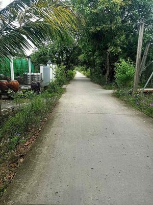 ❤️🔥 Đất nền nghỉ dưỡng hơn 500m2 - Lộ oto vô tới đất - cách lộ lớn Nam S