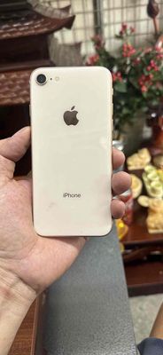 iPhone 8 64GB Màu Vàng - Đã Sử Dụng. Mua bán Điện thoại tại Quận Hoàng Mai Hà Nội được đăng bởi Tuấn Hiệp Apple 