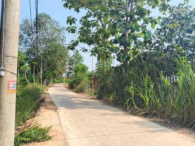 Vườn nghỉ dưỡng gần sông 4300m2 có 300TC chỉ 1.850 tỷ. Mua bán đất tại Huyện Tân Phú Đồng Nai được đăng bởi Trần Dung