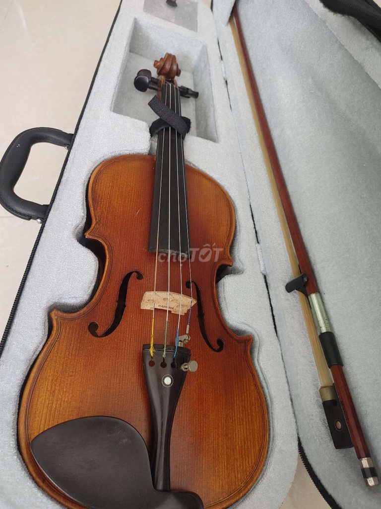 Đàn Violin Animato size 2/4 ngựa Carmen full Gỗ. Mua bán Nhạc cụ tại Quận 8 Tp Hồ Chí Minh được đăng bởi Music hình 1