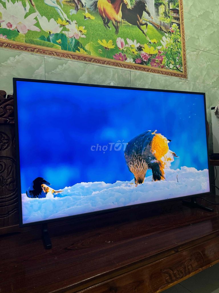 Tivi Samsung 50 inch Giọng nói Bluetooth. Mua bán Tivi, Âm thanh tại Thành phố Vũng Tàu Bà Rịa - Vũng Tàu được đăng bởi Đồ Điện Tử Gia Đình Vũng Tàu hình 1